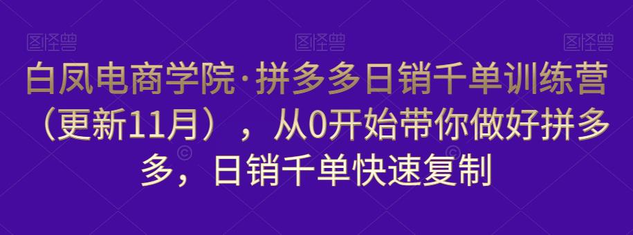白凤电商学院·拼多多日销千单训练营，从0开始带你做好拼多多，日销千单快速复制（更新知2023年3月）-一点通资源网