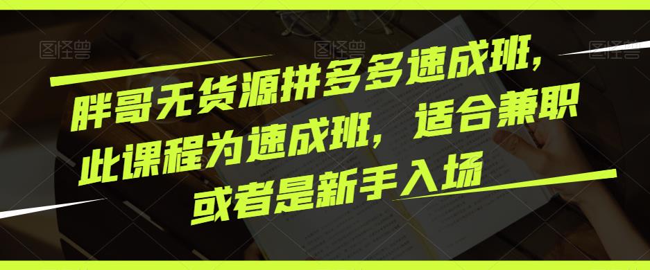 胖哥无货源拼多多速成班，此课程为速成班，适合兼职或者是新手入场-一点通资源网
