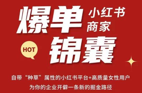 无畏·小红书商家爆单锦囊，掌握小红书各大规则，快速精准抢占行业和市场-一点通资源网