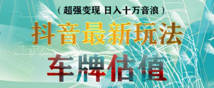 抖音最新无人直播变现直播车牌估值玩法项目，轻松日赚几百+【详细玩法教程】-一点通资源网