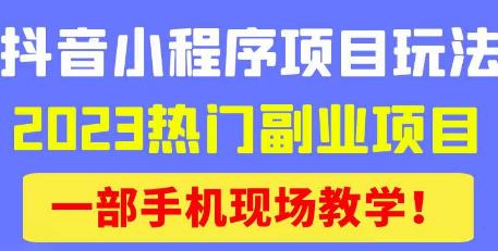 抖音小程序9.0新技巧，2023热门副业项目，动动手指轻松变现-一点通资源网