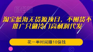 淘宝蓝海无货源项目，不囤货不推广只做冷门高利润代发，花一半时间赚10倍钱-一点通资源网