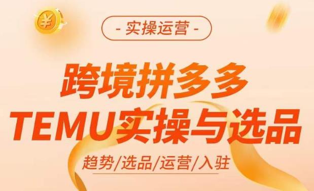 跨境拼多多TEMU实操与选品，​掌握平台运营方法技巧，选品避坑12条标准，爆款的底层思路等-一点通资源网