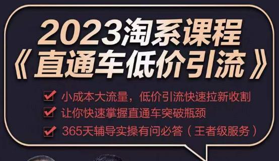 2023直通车低价引流玩法课程，小成本大流量，低价引流快速拉新收割，让你快速掌握直通车突破瓶颈-一点通资源网