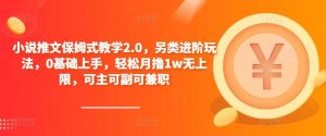 小说推文保姆式教学2.0,另类进阶玩法,0基础上手,轻松月撸1w无上限,可主可副可兼职-一点通资源网