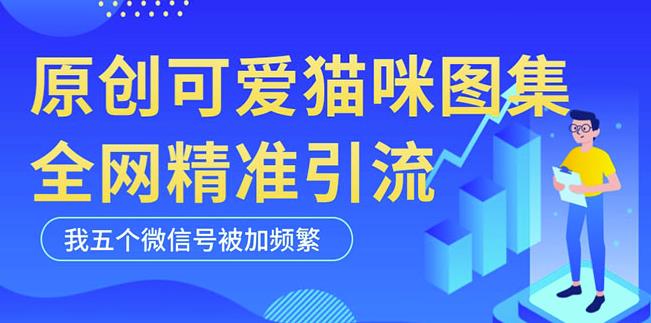 黑科技纯原创可爱猫咪图片，全网精准引流，实操5个VX号被加频繁-一点通资源网