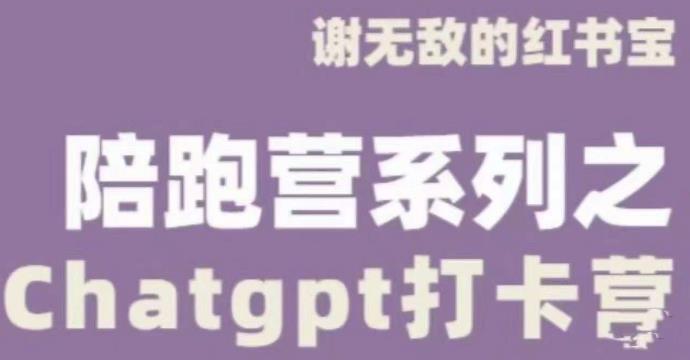 谢无敌ChatGPT打卡营，教你更好地使用ChatGPT来提高工作效率-一点通资源网