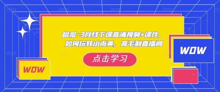 哈哥·3月线下实操课高清视频+课件，如何玩转小而美，高毛利直播间-一点通资源网