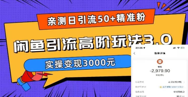 亲测日引50+精准粉，闲鱼引流高阶玩法3.0，实操变现3000元【揭秘】-一点通资源网