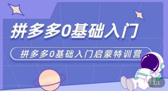 拼多多运营0-1实操特训营，拼多多0基础入门，从基础到进阶的可实操玩法-一点通资源网