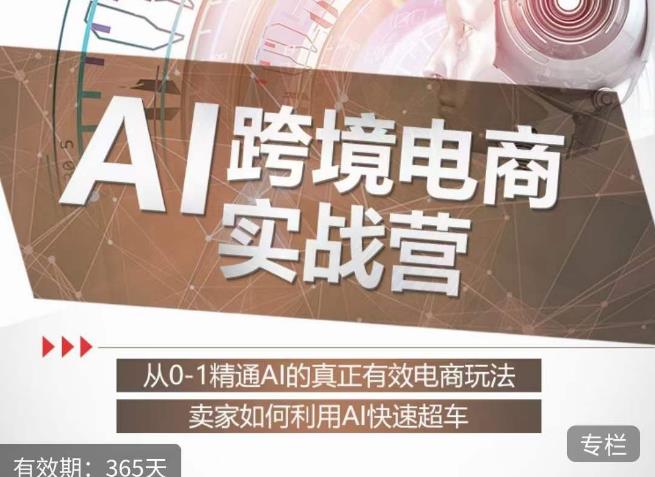 白龙老师·AI跨境电商实战营：从0-1精通Al的真正有效电商玩法，卖家如何利用Al快速超车-一点通资源网