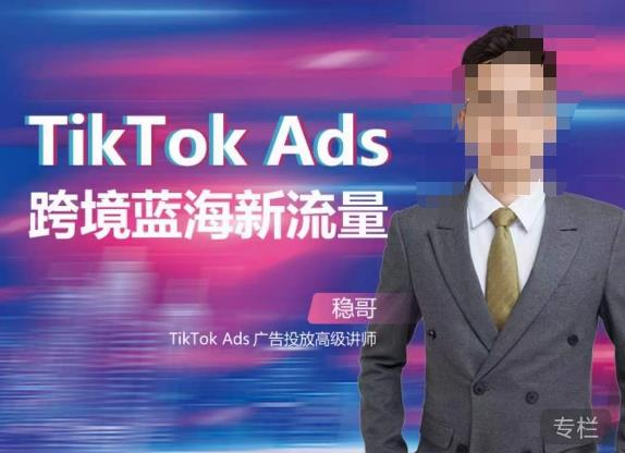 稳哥·如何投出高ROI的TikTok广告，开拓独立站卖家流量新蓝海-一点通资源网