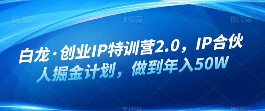 白龙·创业IP特训营2.0，IP合伙人掘金计划，做到年入50W-一点通资源网
