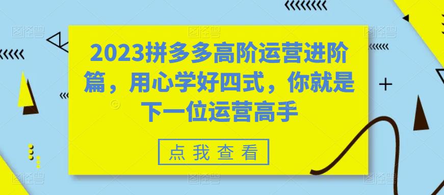 2023拼多多高阶运营进阶篇，用心学好四式，你就是下一位运营高手-一点通资源网