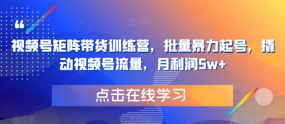 视频号矩阵带货训练营，批量暴力起号，撬动视频号流量，月利润5w+-一点通资源网