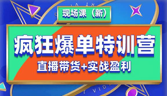 抖音短视频疯狂爆单特训营现场课（新）直播带货+实战案例-一点通资源网