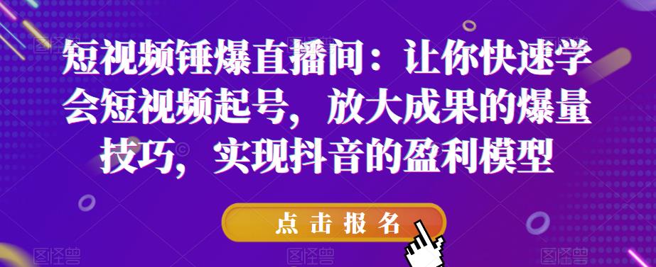 短视频锤爆直播间：让你快速学会短视频起号，放大成果的爆量技巧，实现抖音的盈利模型-一点通资源网