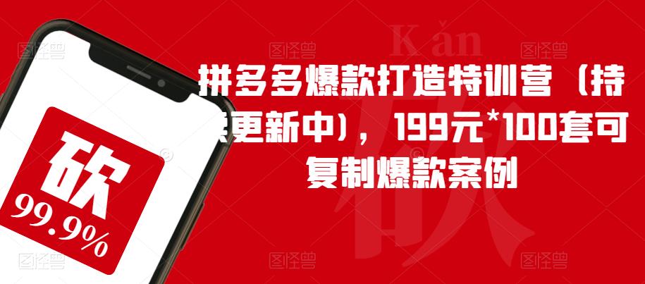 拼多多爆款打造特训营（持续更新中)，199元*100套可复制爆款案例-一点通资源网