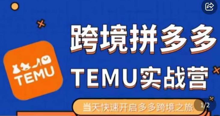 大鹏出海·拼多多跨境temu运营指导，开店注册+选品+核价上架，日出千单实战课-一点通资源网