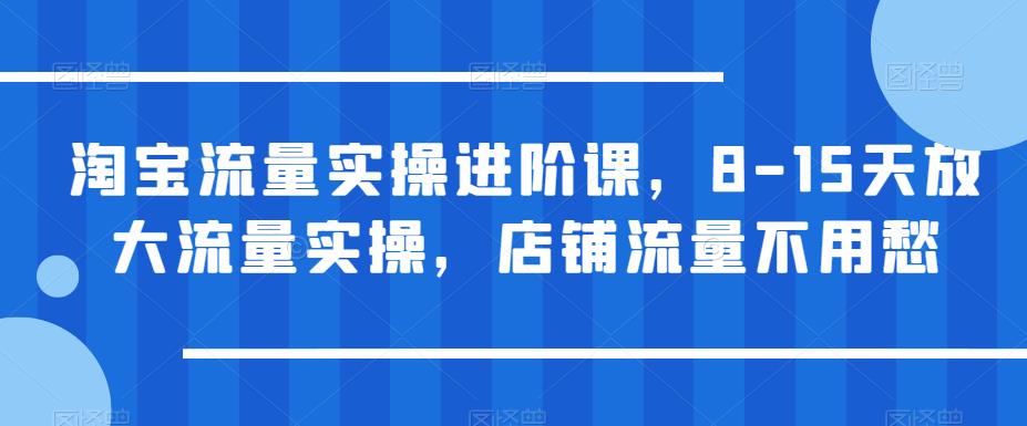 淘宝流量实操进阶课，8-15天放大流量实操，店铺流量不用愁-一点通资源网