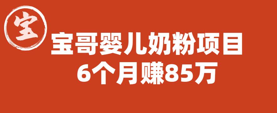 宝哥婴儿奶粉项目，6个月赚85w【图文非视频】【揭秘】-一点通资源网