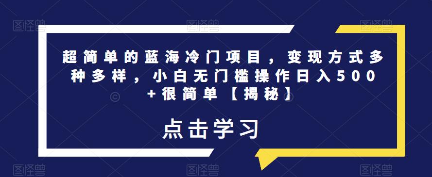 超简单的蓝海冷门项目，变现方式多种多样，小白无门槛操作日入500+很简单【揭秘】-一点通资源网