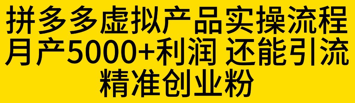 拼多多虚拟产品实操流程，月产5000+利润，还能引流精准创业粉【揭秘】-一点通资源网