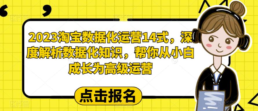 2023淘宝数据化运营14式，深度解析数据化知识，帮你从小白成长为高级运营-一点通资源网