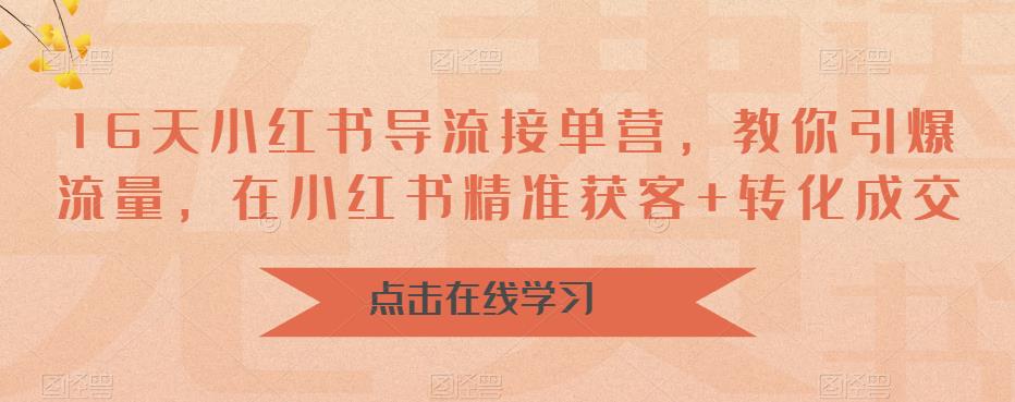 16天小红书导流接单营，教你引爆流量，在小红书精准获客+转化成交-一点通资源网