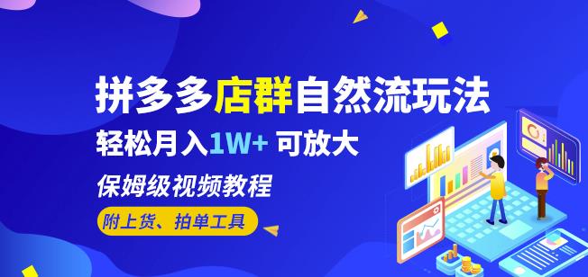 拼多多店群自然流玩法，轻松月入1W+保姆级视频教程（附上货、拍单工具）-一点通资源网