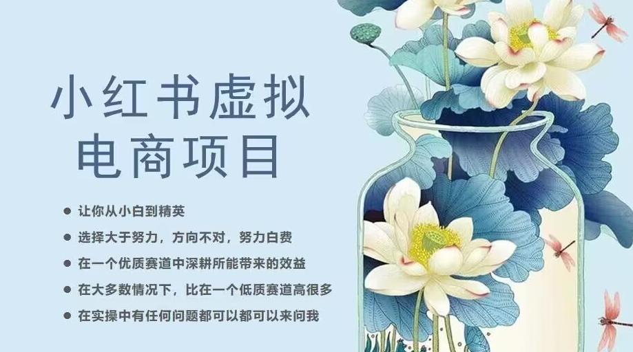 小红书虚拟电商从0到1，让你从小白到精英（20节实操课程）-一点通资源网