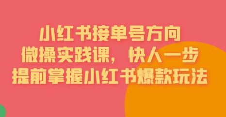 接单号方向·小红书微操实践课，快人一步，提前掌握小红书爆款玩法-一点通资源网