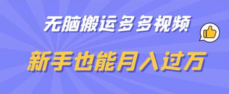 无脑搬运多多视频，新手也能月入过万【揭秘】-一点通资源网