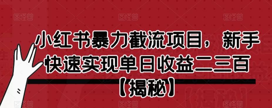 小红书暴力截流项目，新手快速实现单日收益二三百【仅揭秘】-一点通资源网