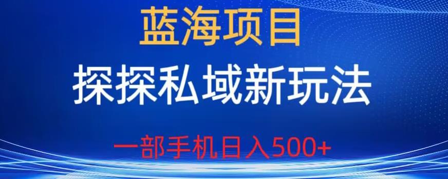 蓝海项目，探探私域新玩法，一部手机日入500+很轻松【揭秘】-一点通资源网