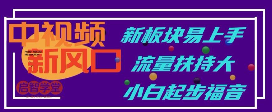 中视频新风口，新板块易上手，流量扶持大，小白起步福音【揭秘】-一点通资源网