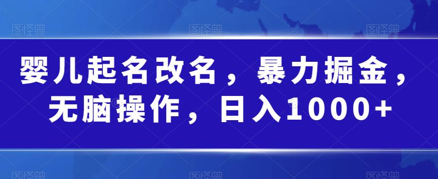 婴儿起名改名，暴力掘金，无脑操作，日入1000+【揭秘】-一点通资源网
