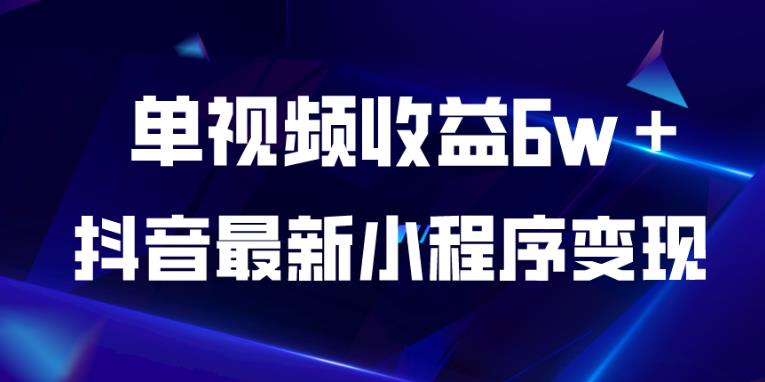 抖音最新小程序变现项目，单视频收益6w＋，小白可做【揭秘】-一点通资源网