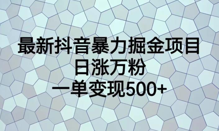 最新抖音暴力掘金项目，日涨万粉，一单变现500+【揭秘】-一点通资源网