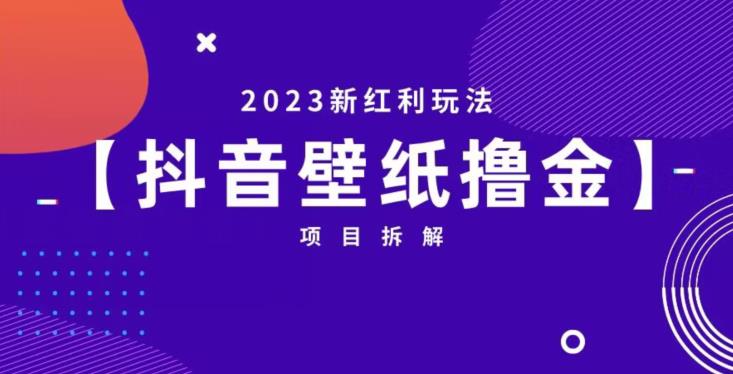 抖音壁纸小程序创作者撸金项目，2023新红利玩法【项目拆解】-一点通资源网