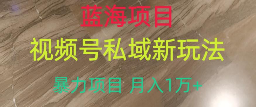 蓝海项目，视频号私域新玩法，暴力项目月入1万+【揭秘】-一点通资源网