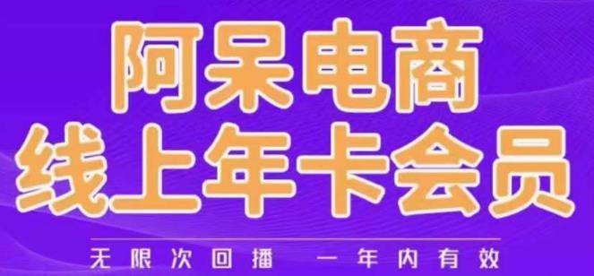 阿呆电商线上年会员，阿呆电商干货分享（更新中）-一点通资源网