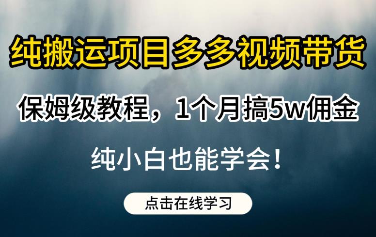 纯搬运项目多多视频带货保姆级教程，1个月搞5w佣金，纯小白也能学会【揭秘】-一点通资源网