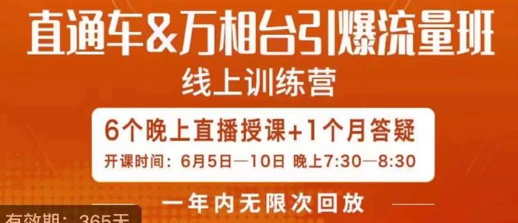 直通车&万相台引爆流量班，6天打通你开直通车·万相台的任督二脉-一点通资源网