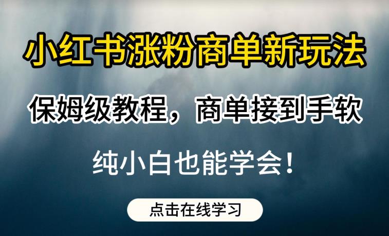 小红书涨粉商单新玩法，保姆级教程，商单接到手软，纯小白也能学会【揭秘】-一点通资源网