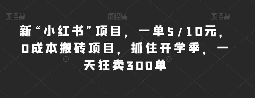 新“小红书”项目，一单5/10元，0成本搬砖项目，抓住开学季，一天狂卖300单【揭秘】-一点通资源网
