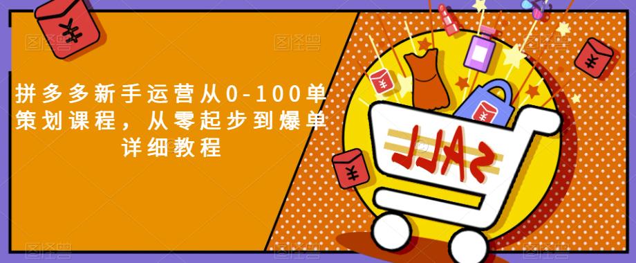 拼多多新手运营从0-100单策划课程，从零起步到爆单详细教程-一点通资源网
