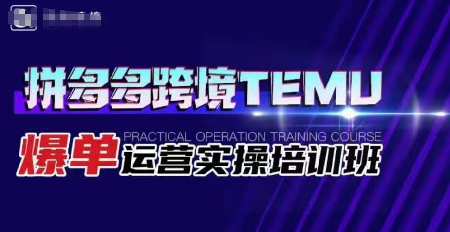 拼多多跨境TEMU爆单运营实操培训班，海外拼多多的选品、运营、爆单-一点通资源网
