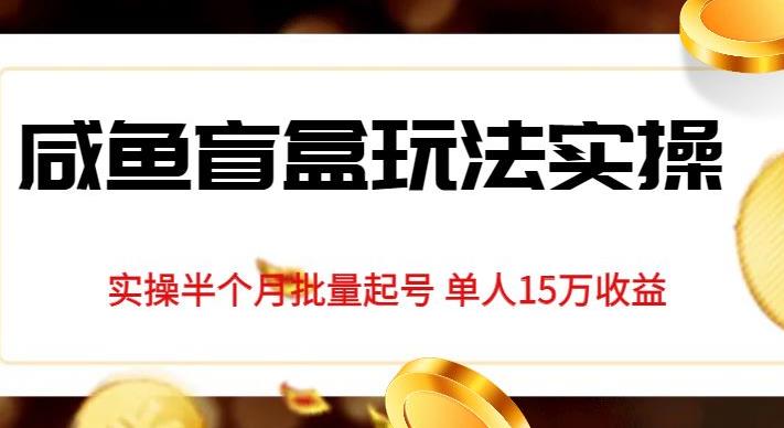 独家首发咸鱼盲盒玩法实操，半个月批量起号单人15万收益【揭秘】-一点通资源网
