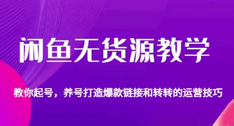 闲鱼无货源教学，教你起号，养号打造爆款链接以及转转的运营技巧-一点通资源网